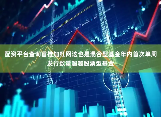 配资平台查询首推加杠网这也是混合型基金年内首次单周发行数量超越股票型基金