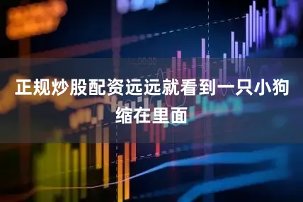 正规炒股配资远远就看到一只小狗缩在里面