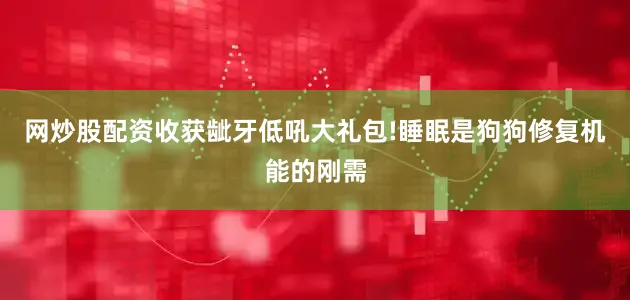 网炒股配资收获龇牙低吼大礼包!睡眠是狗狗修复机能的刚需