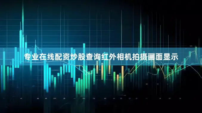 专业在线配资炒股查询红外相机拍摄画面显示